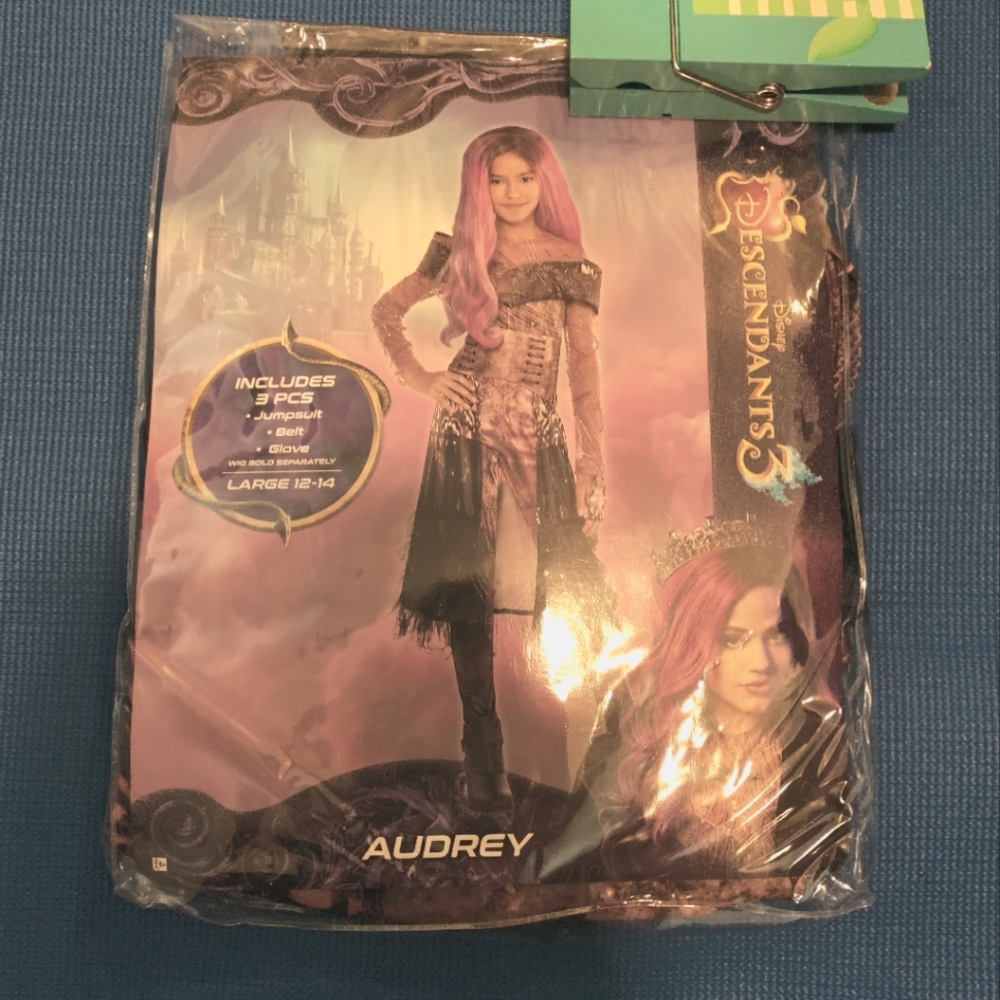 Audrey Descendants Costume Large